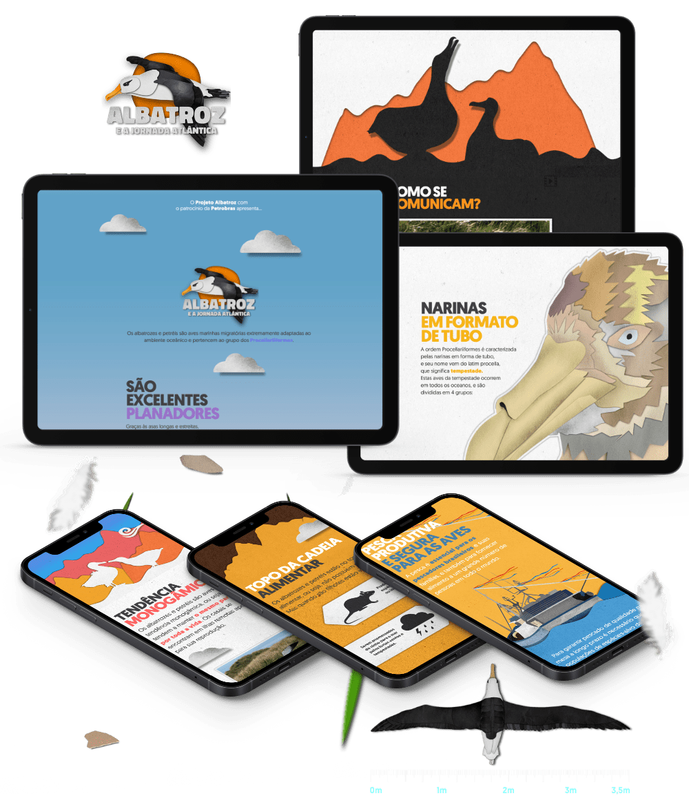 Albatroz e a Jornada Atl�ntica