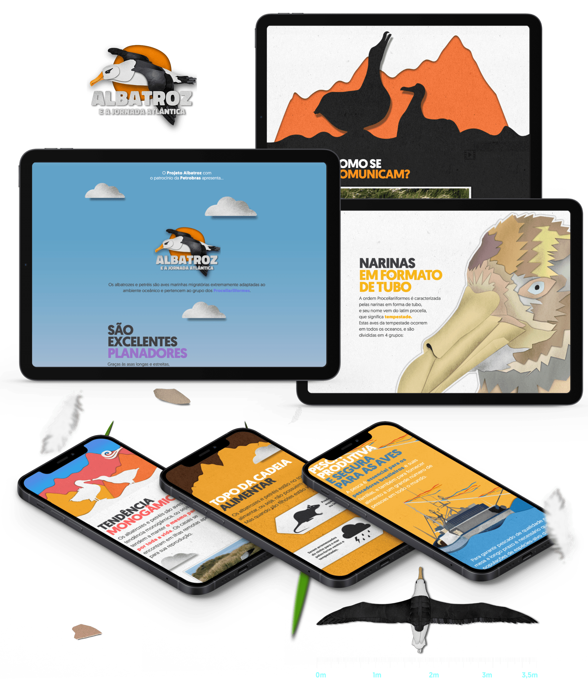 Albatroz e a Jornada Atl�ntica