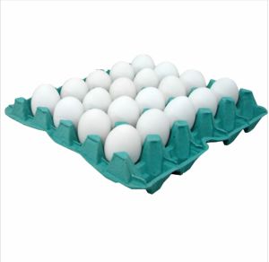 CARTELA DE OVOS C/30UN