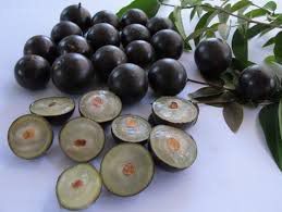 JABUTICABA (CAIXA)