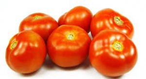 TOMATE DEBORA KG