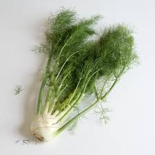 ERVA DOCE ( UNIDADE)