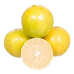 LARANJA LIMA DA PRSIA  KG